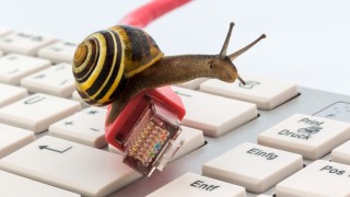 Schnecke Breitband DSL Kabel Langsam