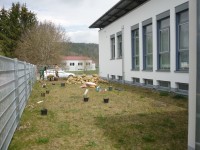 Der Insektengarten im "Rohbau"