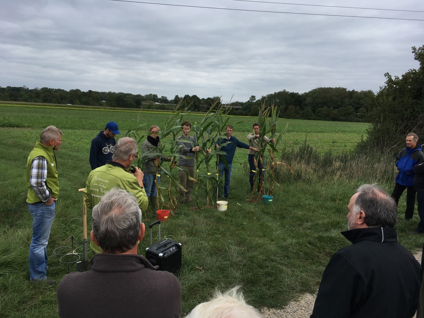 Nitrat-Verlagerung in das Grundwasser verringern durch „Regenerative Landwirtschaft“